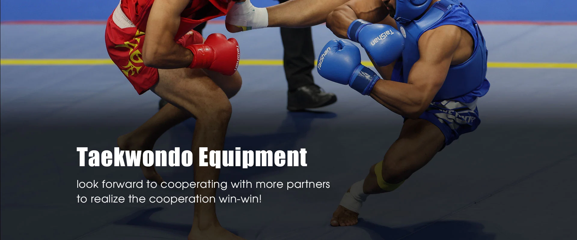 Produttore cinese di attrezzature per Taekwondo