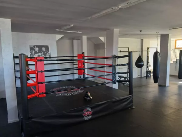 Custodia in loco: il ring da boxe professionale Pandawin offre prestazioni stabili e pronte per la palestra