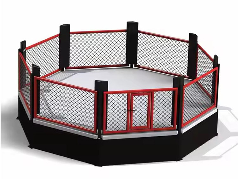 Cosa c'è realmente dentro un ottagono MMA?