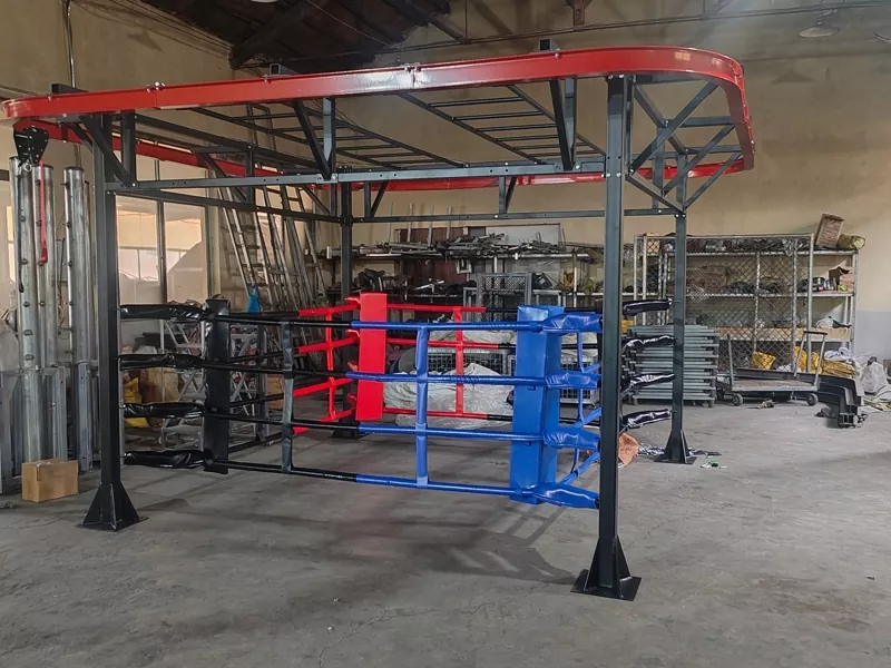 Perché accontentarsi di un ring di boxe standard quando puoi avere un centro di allenamento personalizzato tutto in uno?