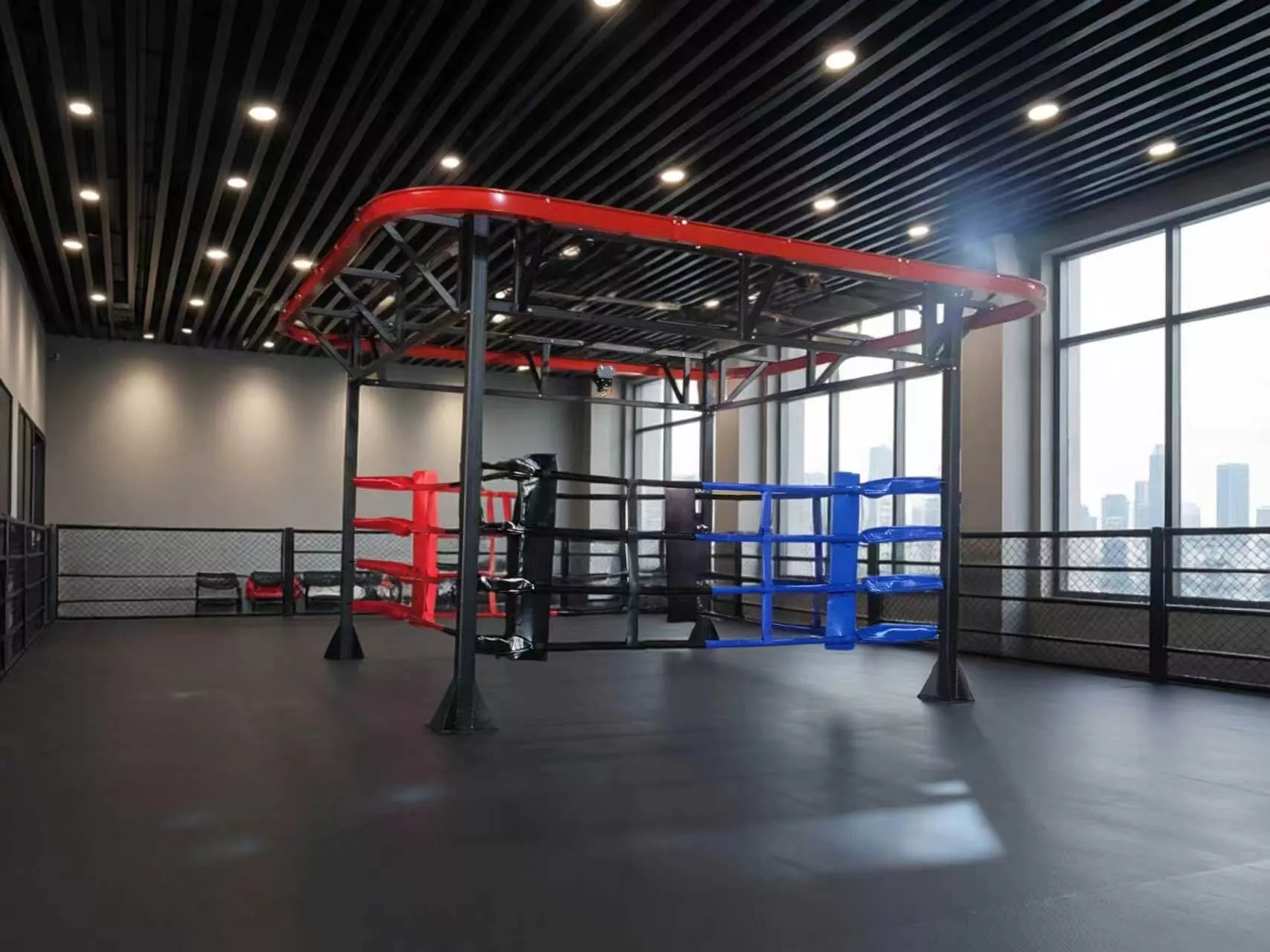 Vuoi combinare lo sparring sul ring, il lavoro con il sacco pesante e l'allenamento fitness funzionale su un unico attrezzo?