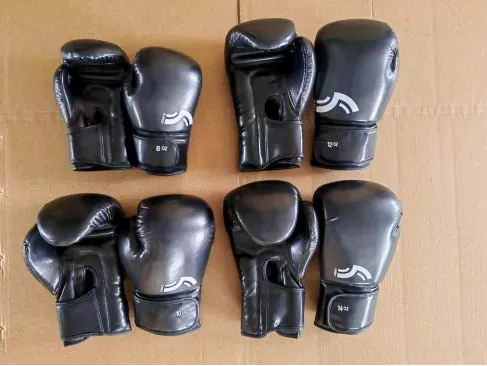 Guantoni da boxe sportivi Pandawin: quale modello si adatta meglio alla tua intensità di allenamento e al tuo budget?